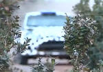 Ford Fiesta S2000 rally car