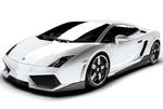 Jeremie Paret Lamborghini Gallardo LP560