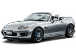 Mazda Roadster, Demio Mazdaspeed