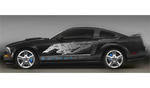 Mustang Wild Pony Project