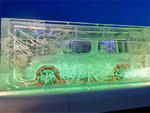 Nissan Cube Ice Tattoo