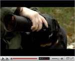 Opel Insignia Video