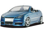 RDX RACEDESIGN Peugeot 206 CC