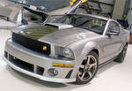 ROUSH Mustang P 51B