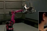 Robotic Arm Ferrari F1 Simulator