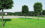 Rolls Royce Expands at GOODWOOD