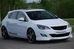 Steinmetz 2010 Opel Astra