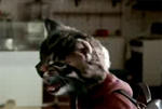 Toyota Corolla Ninja Kittens ad