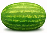 Watermelon: Fuel of the future