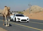 Zenvo ST1 vs camels