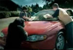 Every car should have a trunk monkey