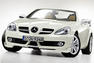 2008 Mercedes SLK Accessories Photos
