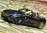 2009 BMW Z4 Expression of Joy Photos
