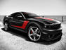 2010 Roush Mustang Photos