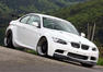 Alpha N BMW 335i Photos