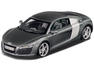 Audi R8 Model Photos