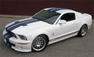 CDC StangNet Glassback Shelby GT500 Photos