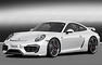Caractere 2012 Porsche 911 Photos