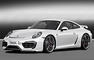 Caractere 2012 Porsche 911 Photos