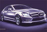 Carlsson 2011 Mercedes CLS Photos