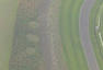 Crop Circles at Goodwood Motor Circuit Photos