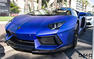 DMC Lamborghini Aventador Roadster Photos