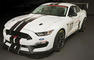 Ford Mustang Shelby FP350S Revealed Photos