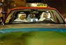GM Hybrids in Dubai Photos