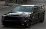 KITT Shelby Mustangs Auction Photos