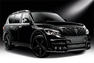 Larte Infiniti QX80 Photos