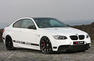 Leib BMW M3 GT 500 Photos
