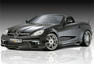 Piecha Mercedes SLK RS Photos