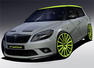Skoda Fabia RS plus and Skoda Octavia RS plus Photos