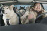 Suzuki Kizashi 2012 Super Bowl Commercial Photos