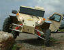 Tomcar Armadillo Photos
