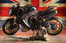Vilner Triumph Speed Triple Bulldog Photos