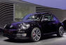 Volkswagen Beetle Fender Photos