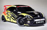 Volkswagen Beetle Rallycross Photos