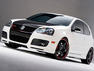 Volkswagen Designer Golf GTI Photos