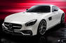 Mercedes AMG GT Body Kit by Wald Photos