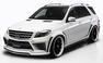 Wald Mercedes ML Photos