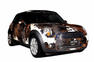The pet MINI Cooper Photos