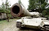Arnold Schwarzenegger Invites Fan To Crush Cars With A Tank