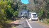 Big Rig Fails To Avoid Tree In The Road