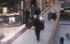 Biker Gang Raids Mall. Robs Jewelry Store