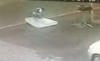 Cyclist Hit By Truck Saved By Falling Mattress