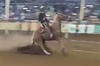 Horse Gets ABS System