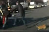 Little Dog Solves Road Rage Incident