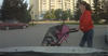 Oblivious Moms Ignore Traffic