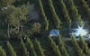 Petter Solberg Crashes At WRC Rallye de France